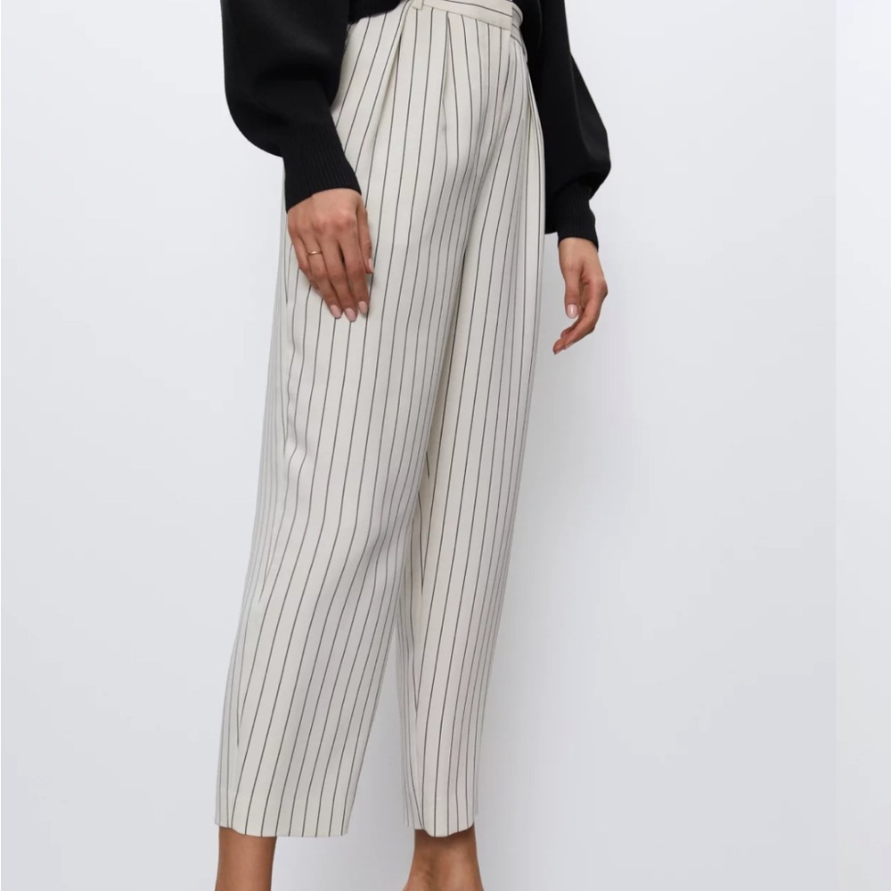 Aritzia Modesto pants